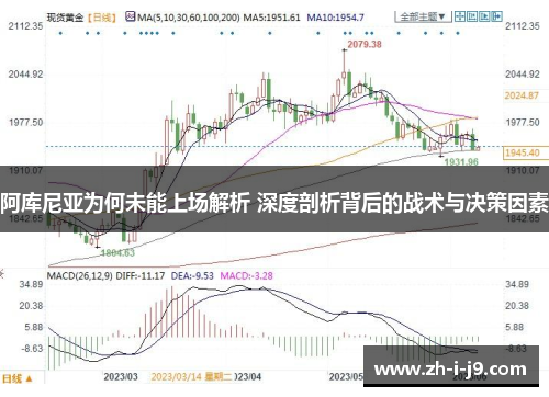 阿库尼亚为何未能上场解析 深度剖析背后的战术与决策因素