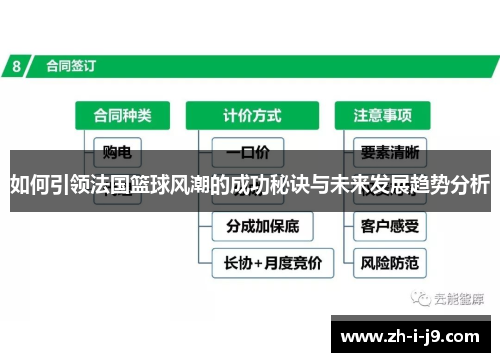 如何引领法国篮球风潮的成功秘诀与未来发展趋势分析